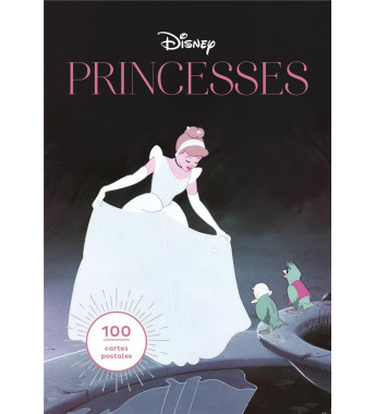 Disney Princesses  100...